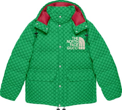 north face x gucci puffer coat|north face Gucci jacket green.